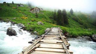 Doğu Karadeniz'in yeni gözdesi Elevit Yaylası 