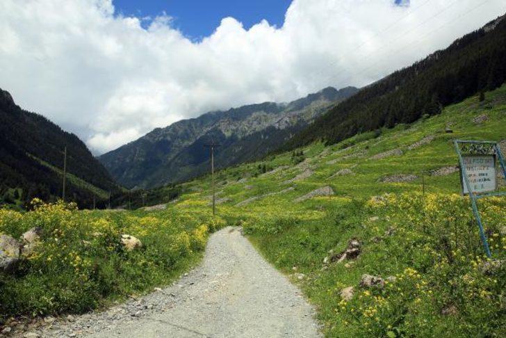 Doğu Karadeniz'in yeni gözdesi Elevit Yaylası  G5