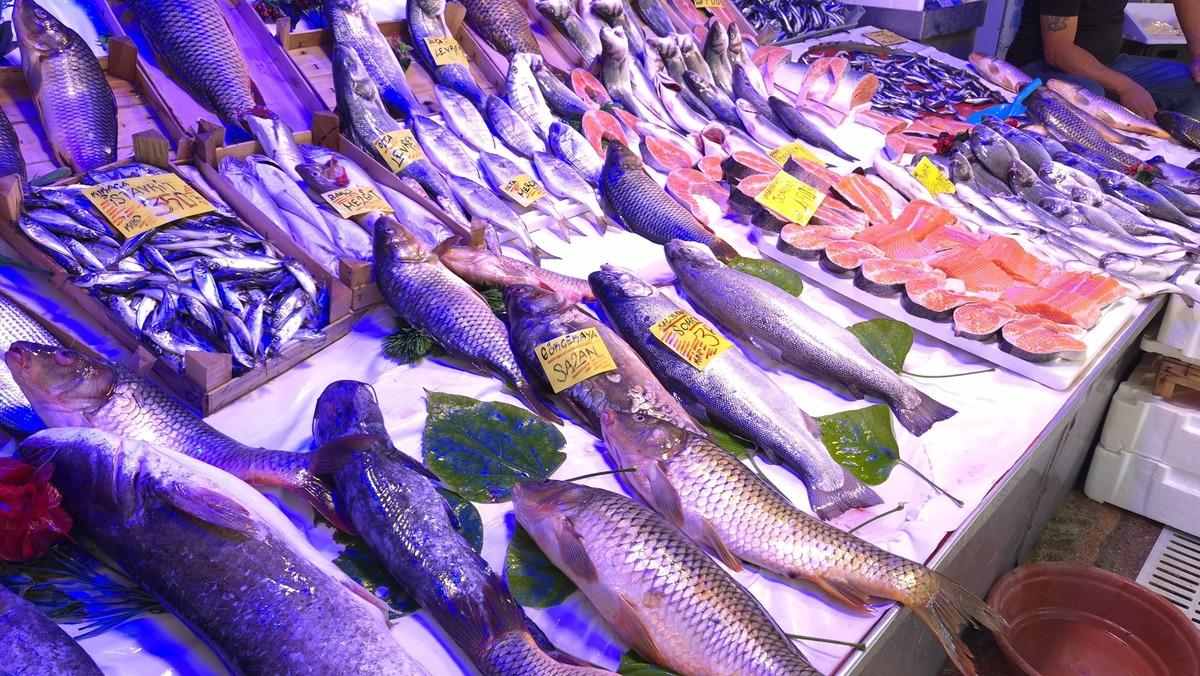Balık&ccedil;ıdan palamut m&uuml;jdesi! 5 kişilik aile 200 liraya doyacak 2