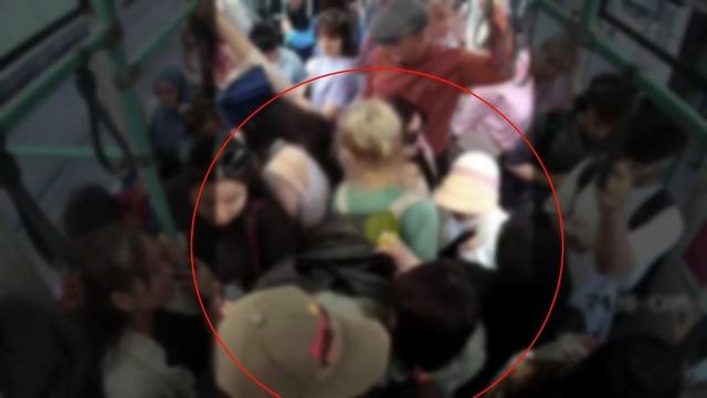 Çoğu yabancı uyruklu; İstanbul'da günde 10 eylem yapıyorlardı! Organize hırsızlık çetesi çökertildi