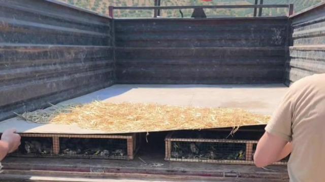 Römorkun altına gizlemiş ama... 19.8 milyon TL'lik ceza!