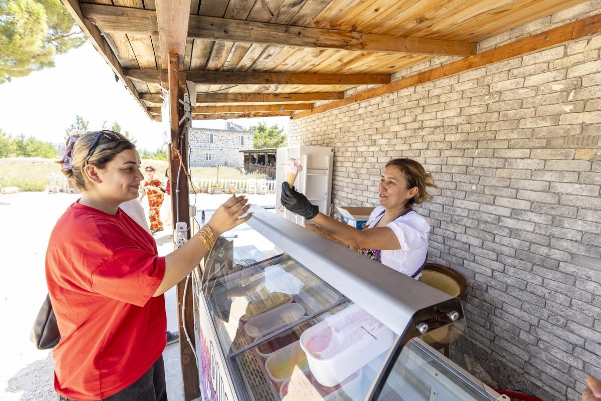 Yer: Mersin! Kadın girişimci lavantayı kazanca çevirdi 1