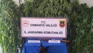 Osmaniye&rsquo;de jandarma bir haftada 128 ş&uuml;pheli yakaladı