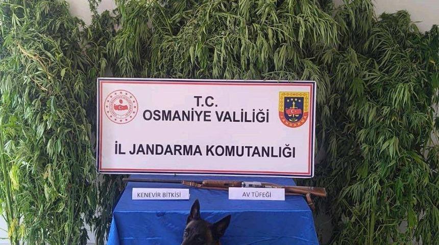 Osmaniye&rsquo;de jandarma bir haftada 128 ş&uuml;pheli yakaladı