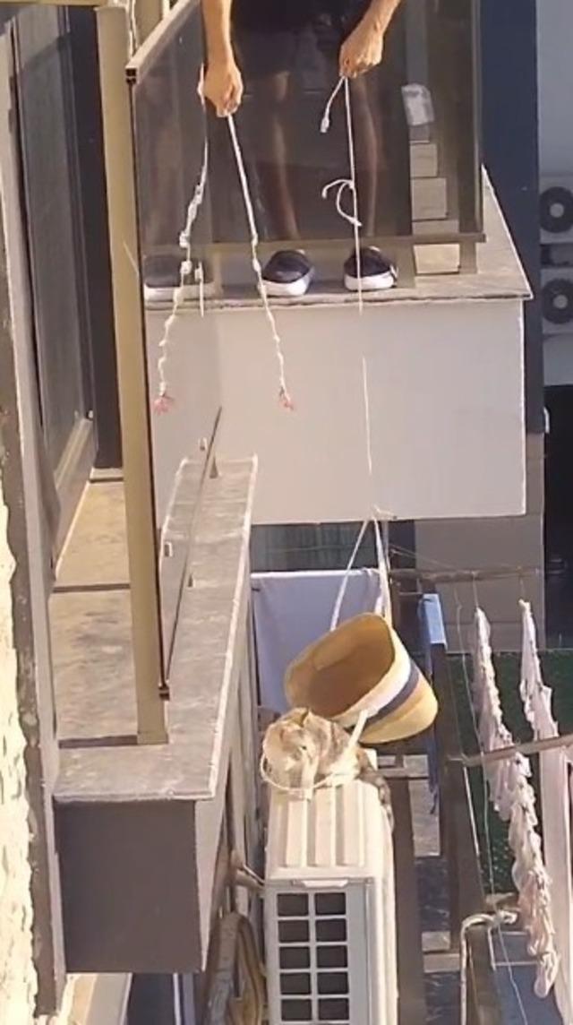 Klimada mahsur kalan kedisini kabloyla bağladığı plaj çantasıyla kurtardı 3