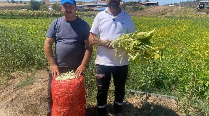 Şeker fasulye y&uuml;zleri g&uuml;ld&uuml;rd&uuml;