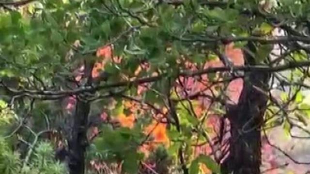 Diyarbakır’da örtü yangını