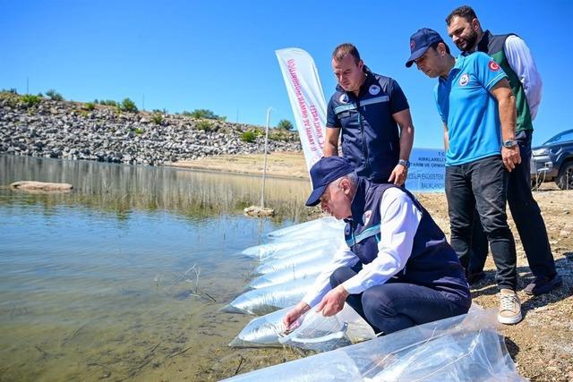 Kırklareli Barajı&rsquo;na 450 bin yavru sazan bırakıldı 4