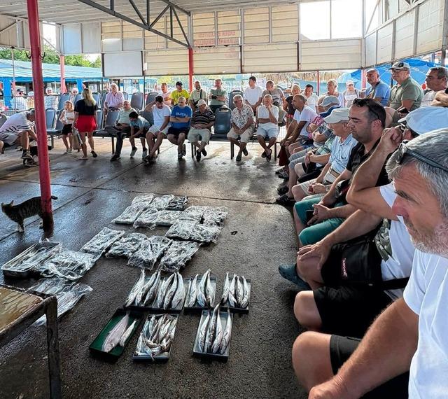 Erdek&rsquo;te balıklar mezatta satışa sunuldu 1