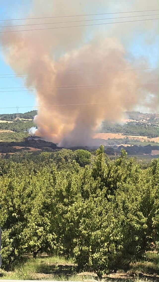 Çanakkale de tarım arazisinde yangın 3