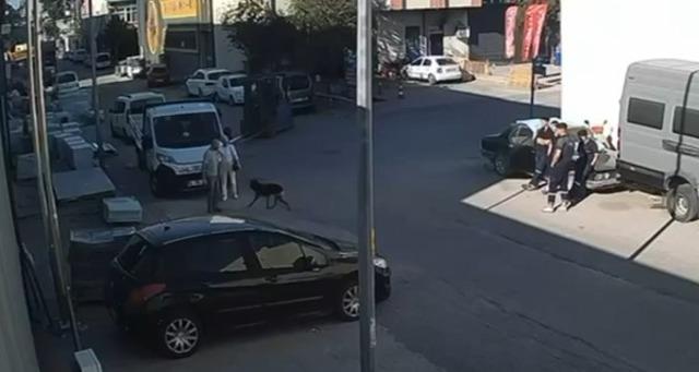 Köpekten kaçarken fenalaşarak bayılan Berat, hayatını kaybetti 2