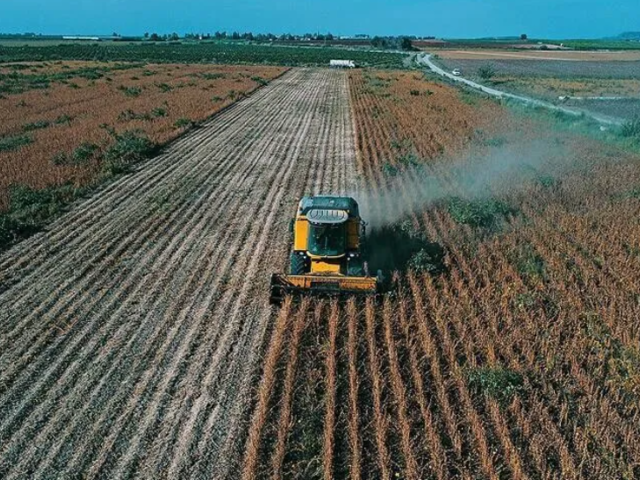 &Ccedil;ift&ccedil;ilerin hesaplarına 195,6 milyon lira tarımsal destekleme &ouml;demesi aktarılıyor