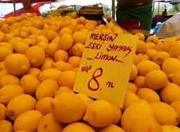 Limon, fiyatıyla yüzleri ekşitiyor