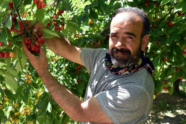 Hobi olarak başladı şimdi 10 ton ürün elde ediyor