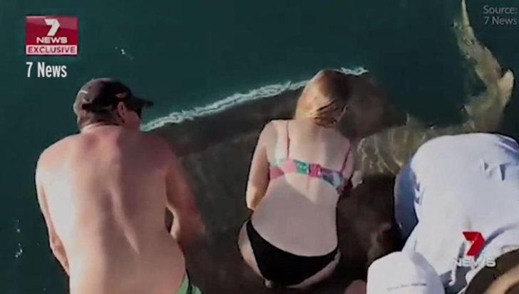 Köpekbalıklarını besleyen kadın teknede dehşeti yaşadı G1