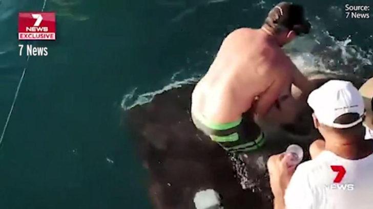 Köpekbalıklarını besleyen kadın teknede dehşeti yaşadı G3