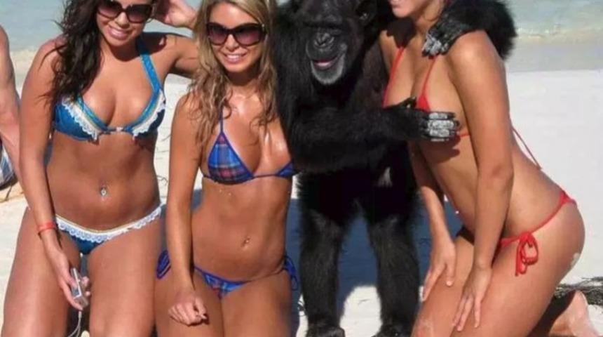 Tatile gitmeden &ouml;nce mutlaka bakmanız gereken 15 fotoğraf