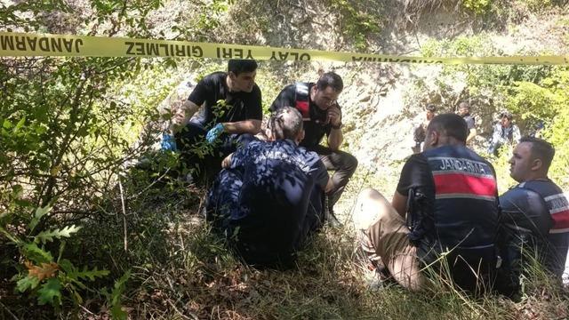 Samsun'da koyunlarını otlatmaya giden adam ormanda ölü bulundu