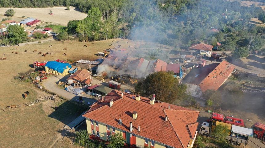 Kastamonu'da &ccedil;ıkan yangında 14 b&uuml;y&uuml;kbaş hayvan telef oldu