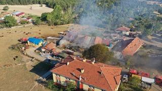 Kastamonu'da çıkan yangında 14 büyükbaş hayvan telef oldu