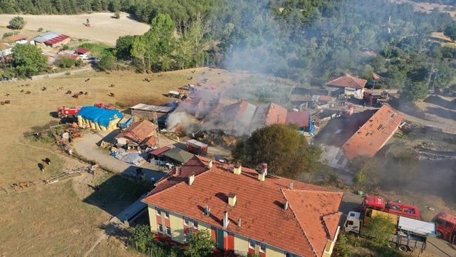 Kastamonu'da çıkan yangında 14 büyükbaş hayvan telef oldu