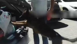 Uyuşturucu sevkiyatı Sakarya'da durduruldu: 4 tutuklama