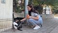 Y�llard�r besledi�i kediyi vah�ice �ld�r�p kap�s�na b�rakt�lar
