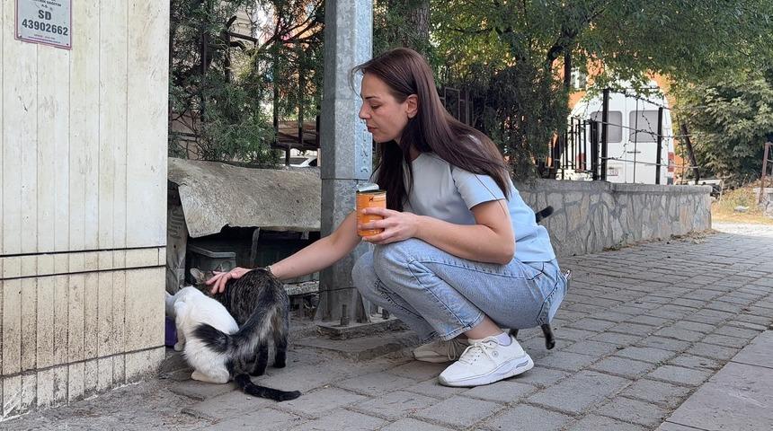 K&uuml;tahya'da kan donduran olay! Yıllardır beslediği kediyi vahşice &ouml;ld&uuml;r&uuml;p kapısına bıraktılar