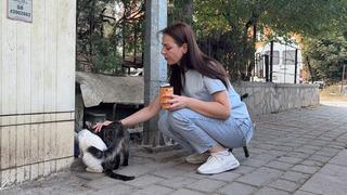 Kütahya'da kan donduran olay! Yıllardır beslediği kediyi vahşice öldürüp kapısına bıraktılar