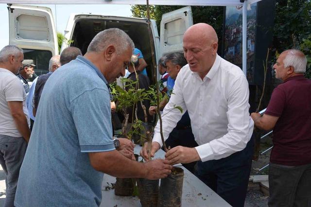 Babadağ Belediyesinden çiftçilere ceviz fidanı desteği 2