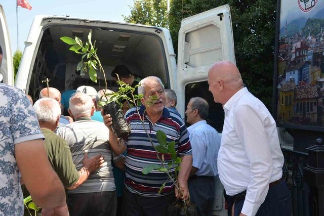 Babadağ Belediyesinden çiftçilere ceviz fidanı desteği 1
