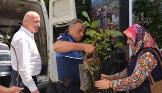 Babadağ Belediyesinden &ccedil;ift&ccedil;ilere ceviz fidanı desteği