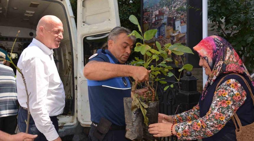 Babadağ Belediyesinden &ccedil;ift&ccedil;ilere ceviz fidanı desteği