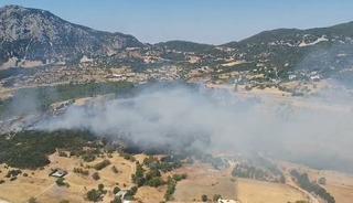 Kaş&rsquo;ta ormanlık alanda yangın