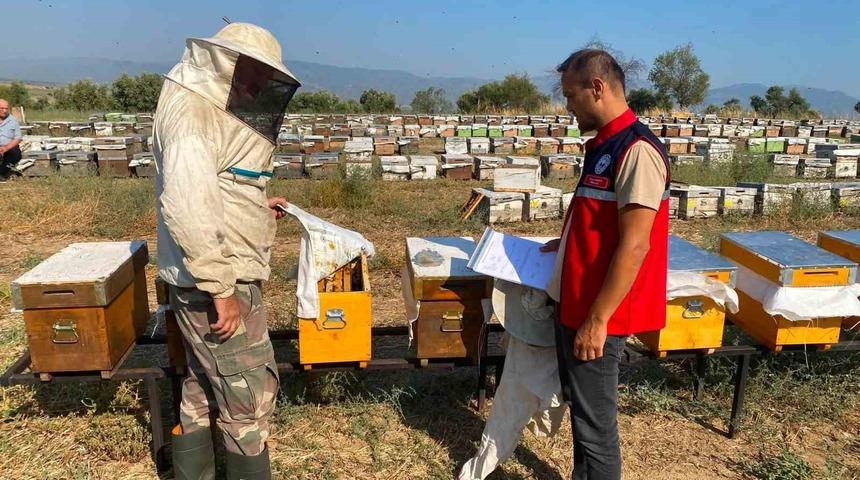 Nazilli&rsquo;de arılı kovan tespit &ccedil;alışmaları s&uuml;r&uuml;yor