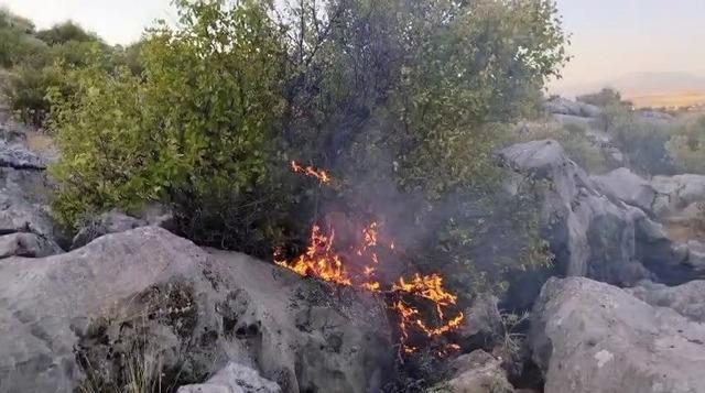 Besni&rsquo;de ormanlık alanda &ccedil;ıkan yangın korkuttu 1