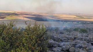 Besni’de ormanlık alanda çıkan yangın korkuttu