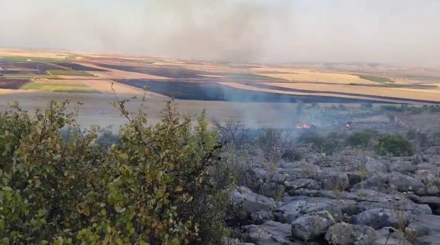 Besni&rsquo;de ormanlık alanda &ccedil;ıkan yangın korkuttu