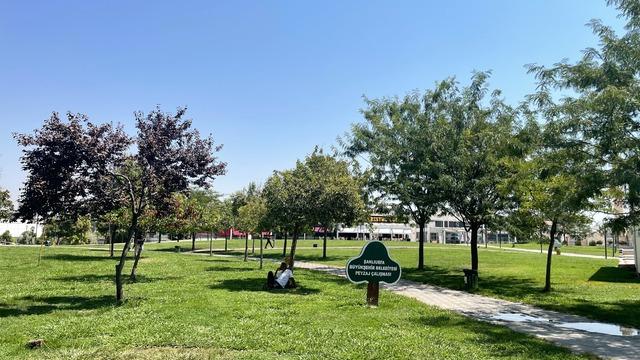 Şanlıurfa'da termometreler 46 dereceyi gösterdi