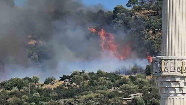 Gebze’de orman yangını başladı