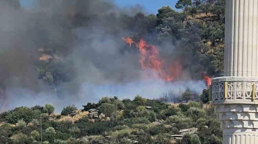Gebze&rsquo;de orman yangını başladı