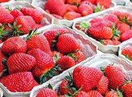 Rusya, Türkiye'den gelen 15 ton çileği almadı