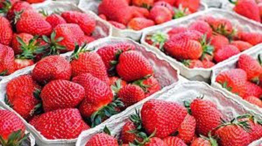Rusya, Türkiye'den gelen 15 ton çileği almadı