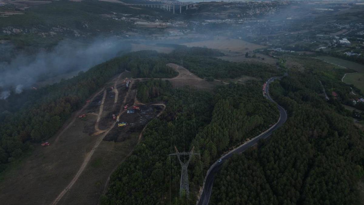 Kocaeli deki orman yangını kontrol altına alındı 1