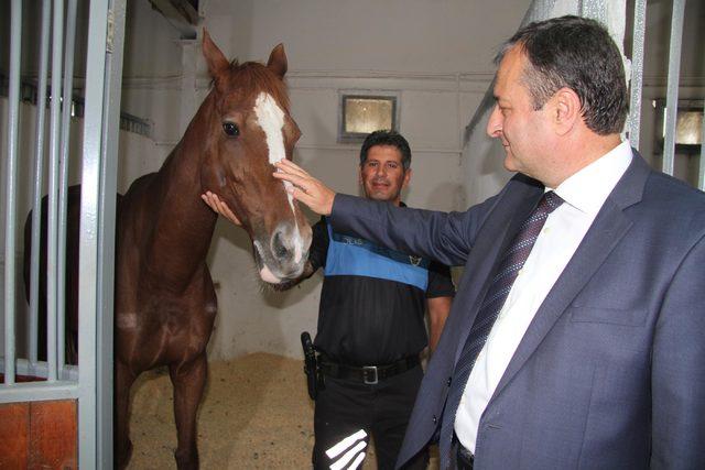 Kayseri polisi, hediye atlarla göreve başladı