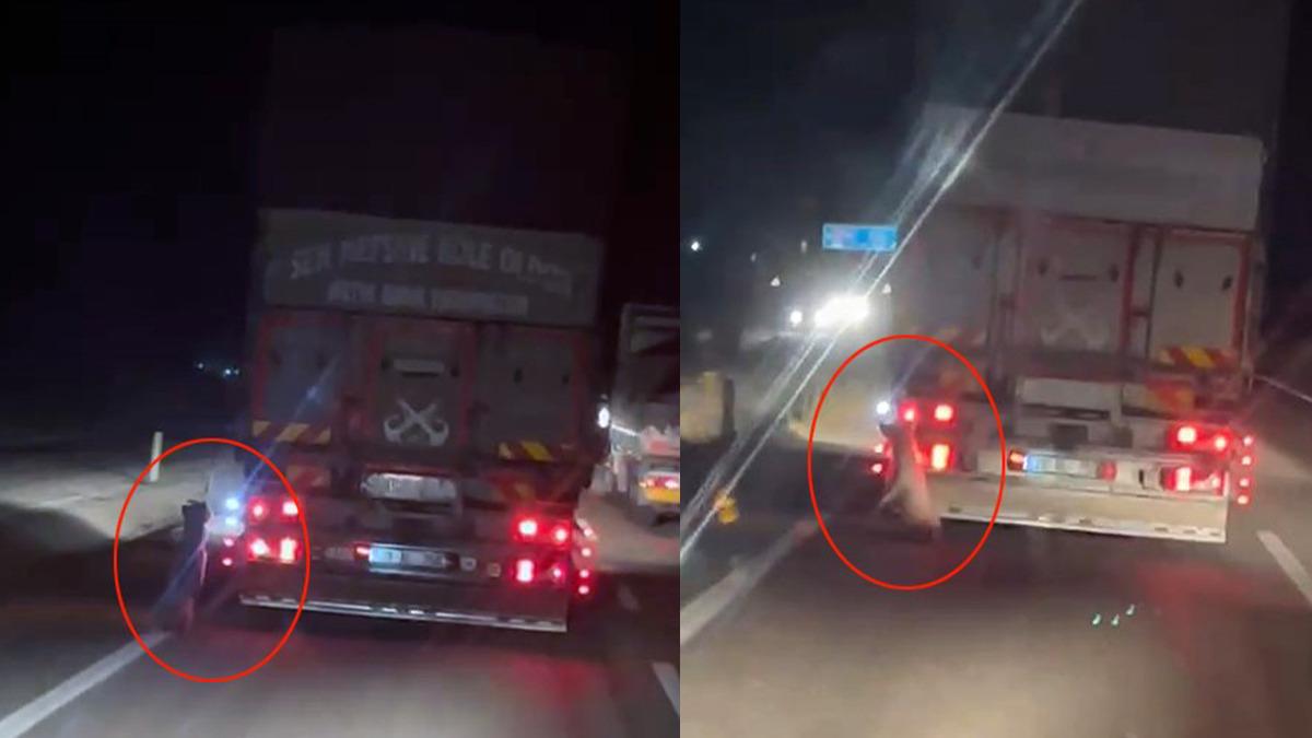 Bunun adı: Eziyet... Kamyonetinin arkasına bağlayıp kilometrelerce sürükledi - Güncel Haberler
