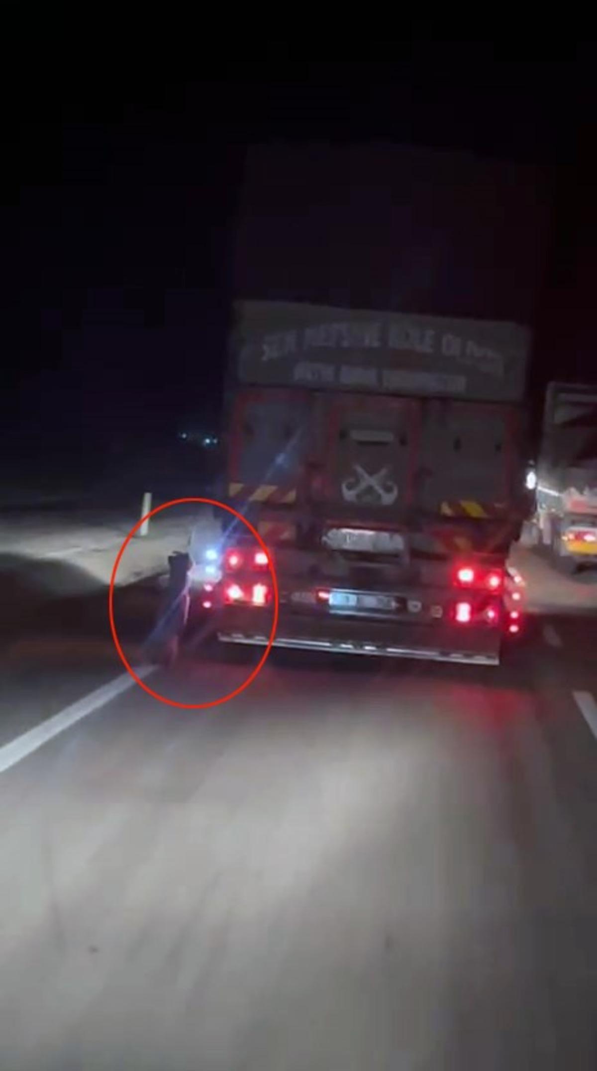 Bunun adı: Eziyet... Kamyonetinin arkasına bağlayıp kilometrelerce sürükledi 1