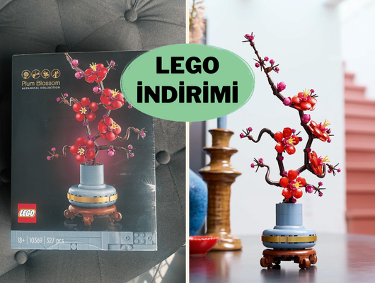 Zamansız bir hediye: LEGO Icons Erik &Ccedil;i&ccedil;eği Seti indirimde