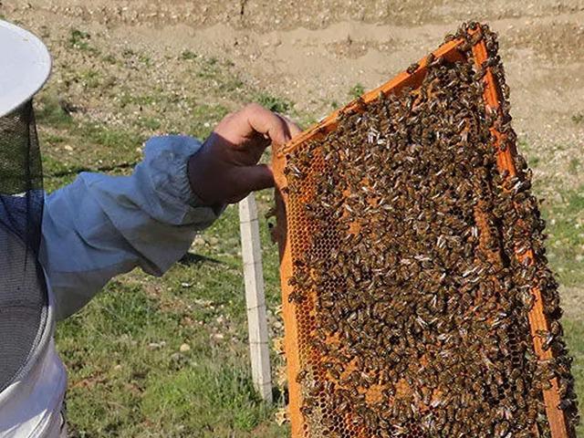 5 kovanla hobi olarak başladı! Şimdi kendi markasını oluşturdu