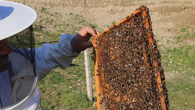5 kovanla hobi olarak başladı! Şimdi kendi markasını oluşturdu